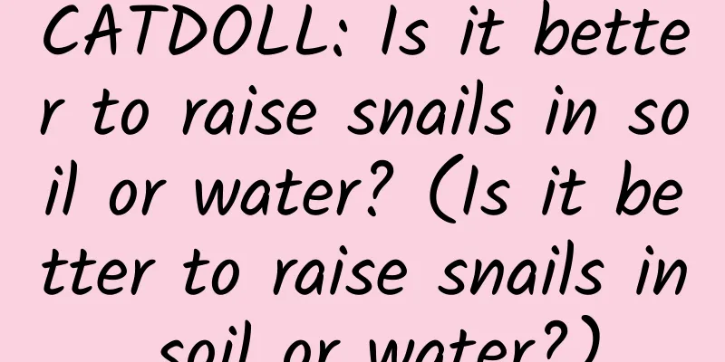 CATDOLL: Is it better to raise snails in soil or water? (Is it better to raise snails in soil or water?)