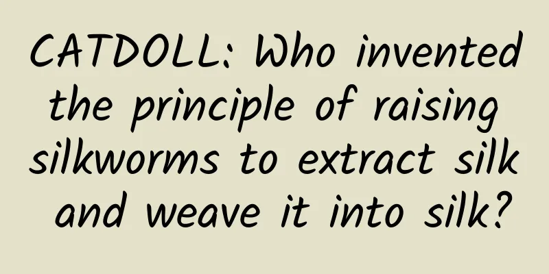 CATDOLL: Who invented the principle of raising silkworms to extract silk and weave it into silk?