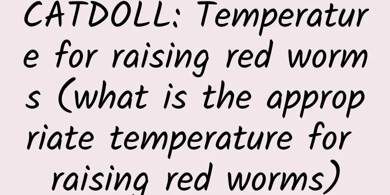 CATDOLL: Temperature for raising red worms (what is the appropriate temperature for raising red worms)