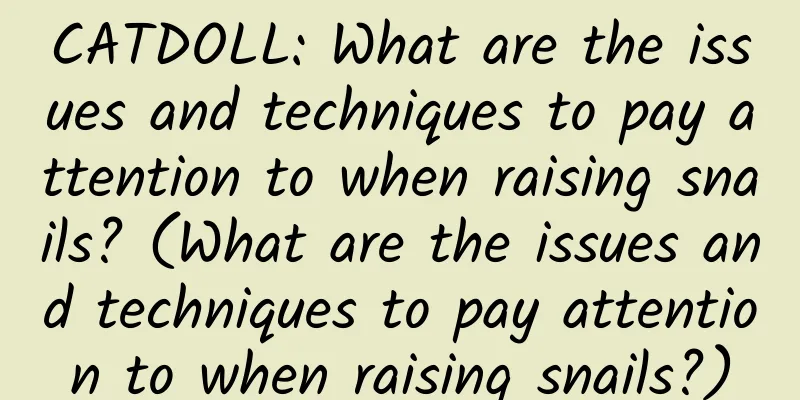 CATDOLL: What are the issues and techniques to pay attention to when raising snails? (What are the issues and techniques to pay attention to when raising snails?)