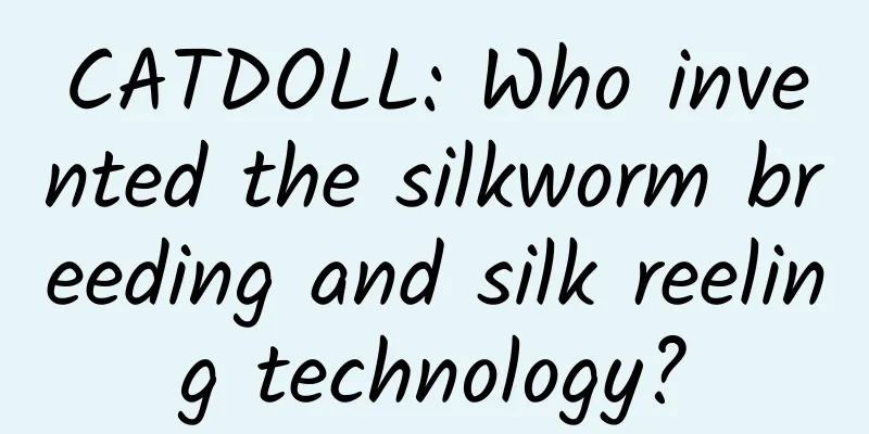 CATDOLL: Who invented the silkworm breeding and silk reeling technology?