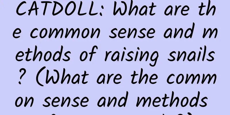 CATDOLL: What are the common sense and methods of raising snails? (What are the common sense and methods of raising snails?)