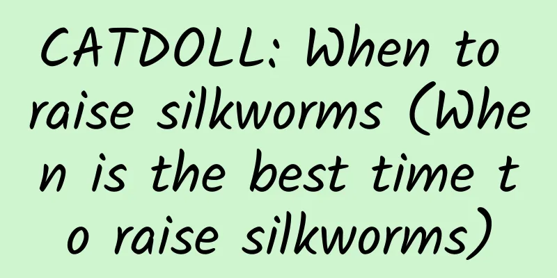 CATDOLL: When to raise silkworms (When is the best time to raise silkworms)