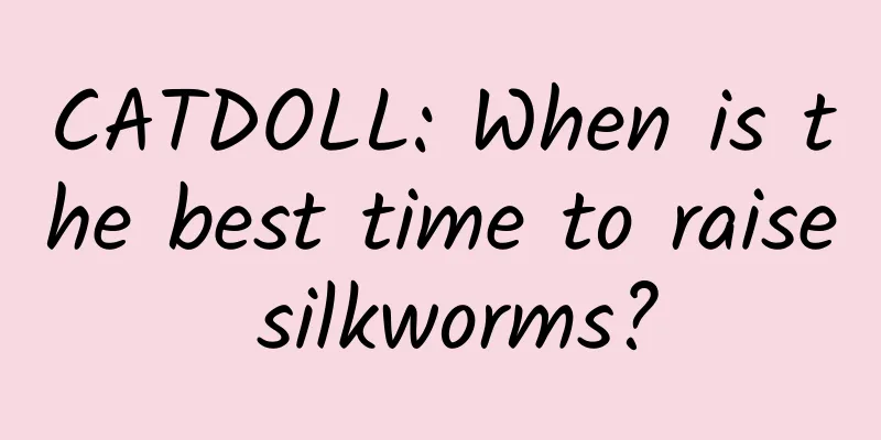 CATDOLL: When is the best time to raise silkworms?