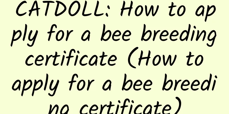 CATDOLL: How to apply for a bee breeding certificate (How to apply for a bee breeding certificate)