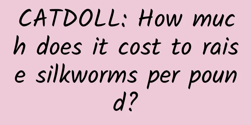 CATDOLL: How much does it cost to raise silkworms per pound?