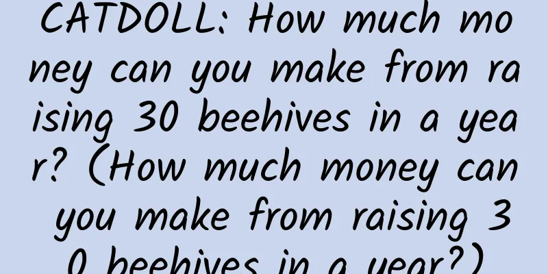CATDOLL: How much money can you make from raising 30 beehives in a year? (How much money can you make from raising 30 beehives in a year?)