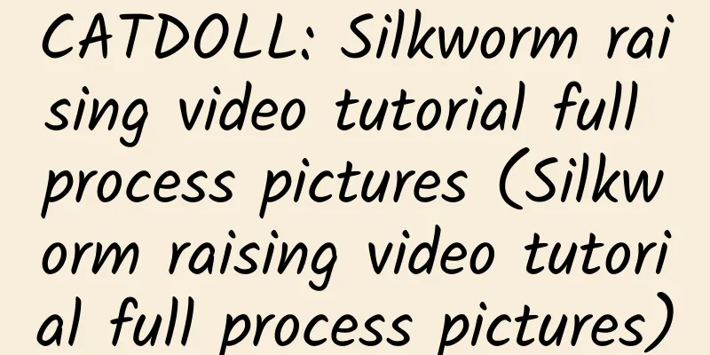 CATDOLL: Silkworm raising video tutorial full process pictures (Silkworm raising video tutorial full process pictures)