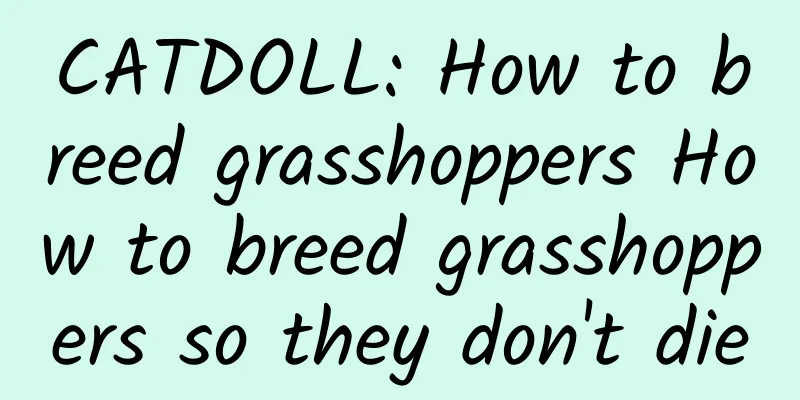 CATDOLL: How to breed grasshoppers How to breed grasshoppers so they don't die