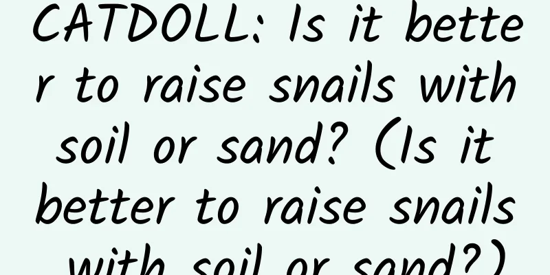 CATDOLL: Is it better to raise snails with soil or sand? (Is it better to raise snails with soil or sand?)