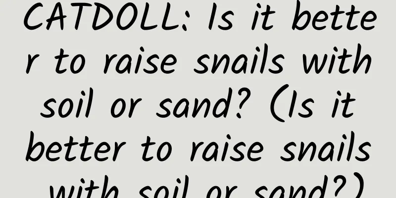 CATDOLL: Is it better to raise snails with soil or sand? (Is it better to raise snails with soil or sand?)