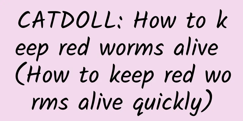 CATDOLL: How to keep red worms alive (How to keep red worms alive quickly)