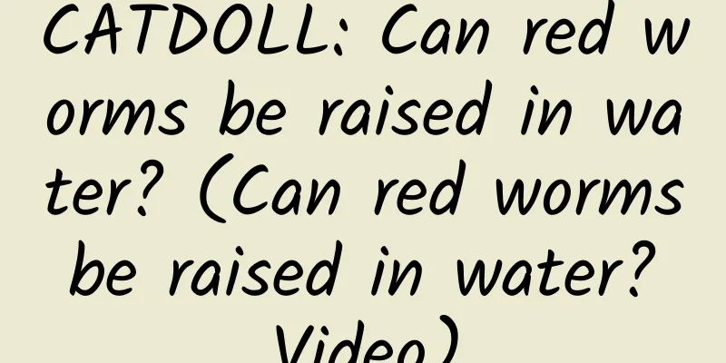 CATDOLL: Can red worms be raised in water? (Can red worms be raised in water? Video)