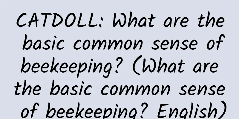 CATDOLL: What are the basic common sense of beekeeping? (What are the basic common sense of beekeeping? English)