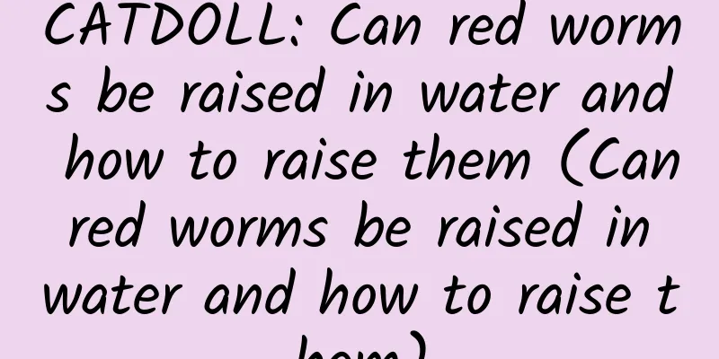 CATDOLL: Can red worms be raised in water and how to raise them (Can red worms be raised in water and how to raise them)