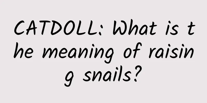 CATDOLL: What is the meaning of raising snails?