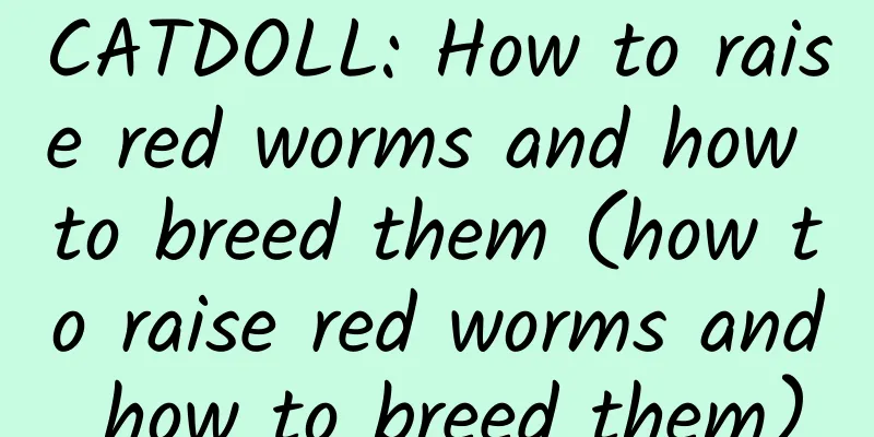 CATDOLL: How to raise red worms and how to breed them (how to raise red worms and how to breed them)