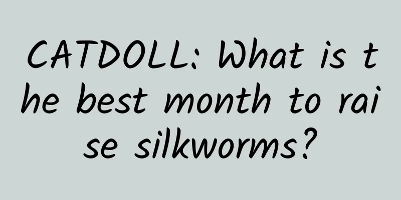 CATDOLL: What is the best month to raise silkworms?