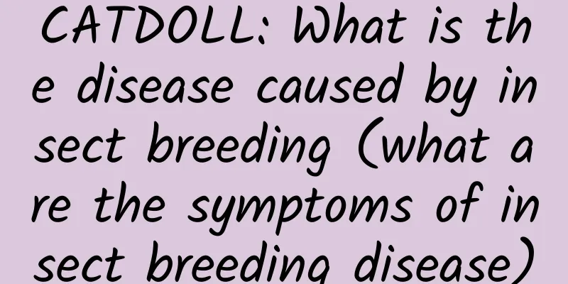 CATDOLL: What is the disease caused by insect breeding (what are the symptoms of insect breeding disease)