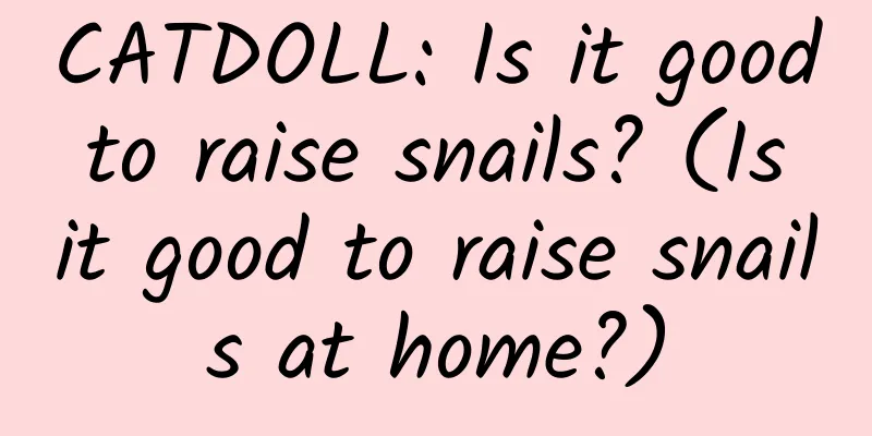 CATDOLL: Is it good to raise snails? (Is it good to raise snails at home?)
