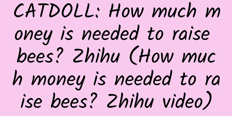 CATDOLL: How much money is needed to raise bees? Zhihu (How much money is needed to raise bees? Zhihu video)