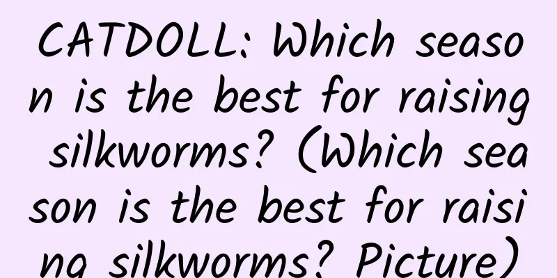 CATDOLL: Which season is the best for raising silkworms? (Which season is the best for raising silkworms? Picture)