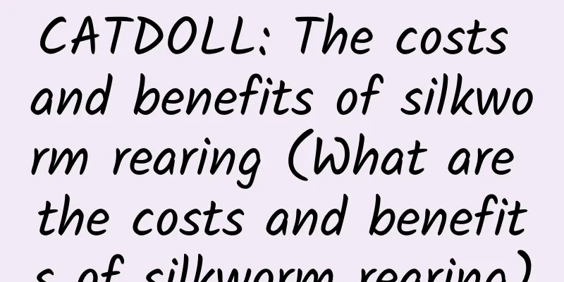 CATDOLL: The costs and benefits of silkworm rearing (What are the costs and benefits of silkworm rearing)