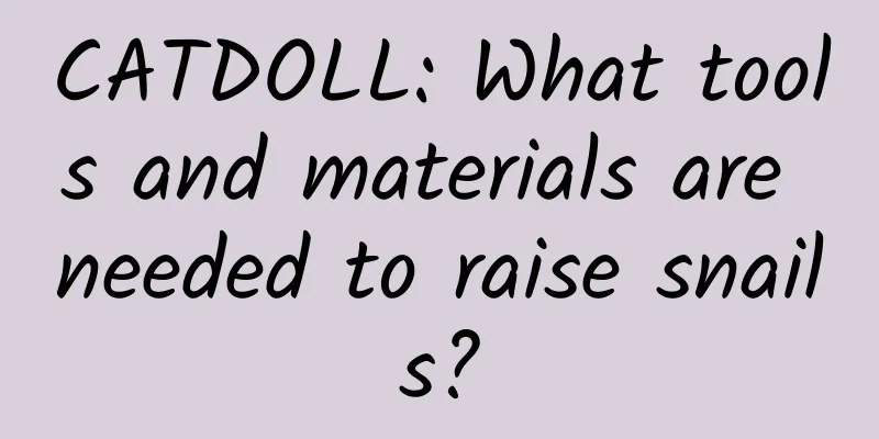 CATDOLL: What tools and materials are needed to raise snails?
