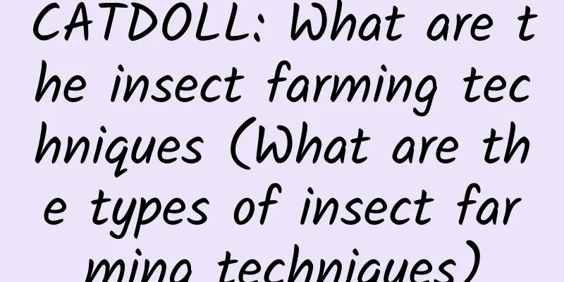 CATDOLL: What are the insect farming techniques (What are the types of insect farming techniques)