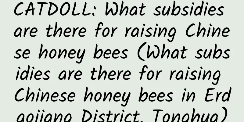 CATDOLL: What subsidies are there for raising Chinese honey bees (What subsidies are there for raising Chinese honey bees in Erdaojiang District, Tonghua)