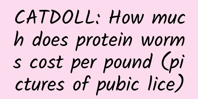 CATDOLL: How much does protein worms cost per pound (pictures of pubic lice)