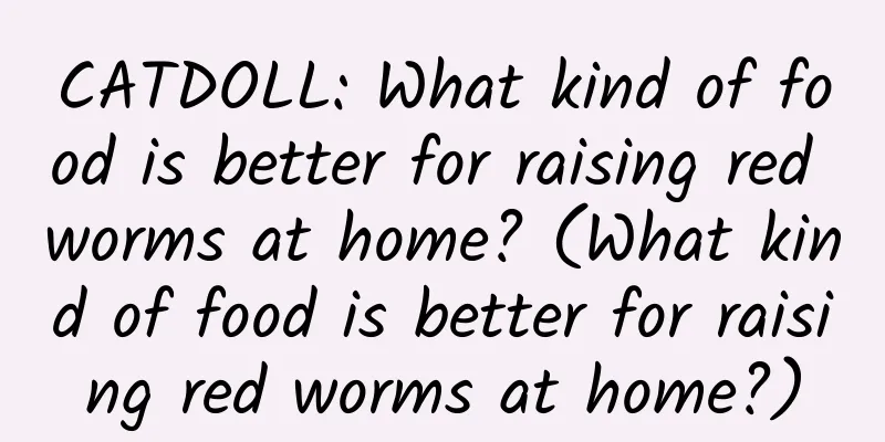 CATDOLL: What kind of food is better for raising red worms at home? (What kind of food is better for raising red worms at home?)
