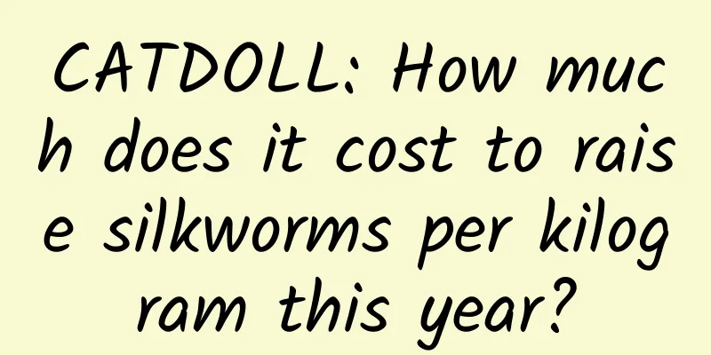 CATDOLL: How much does it cost to raise silkworms per kilogram this year?