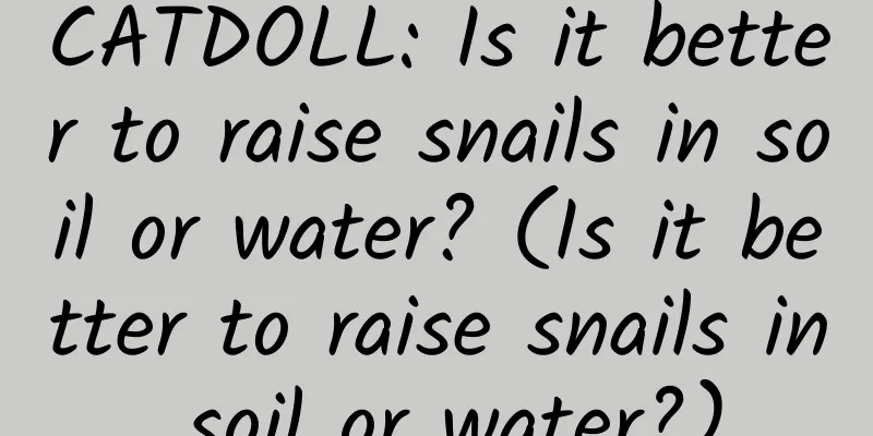 CATDOLL: Is it better to raise snails in soil or water? (Is it better to raise snails in soil or water?)