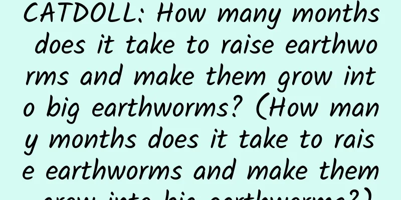 CATDOLL: How many months does it take to raise earthworms and make them grow into big earthworms? (How many months does it take to raise earthworms and make them grow into big earthworms?)