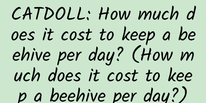 CATDOLL: How much does it cost to keep a beehive per day? (How much does it cost to keep a beehive per day?)