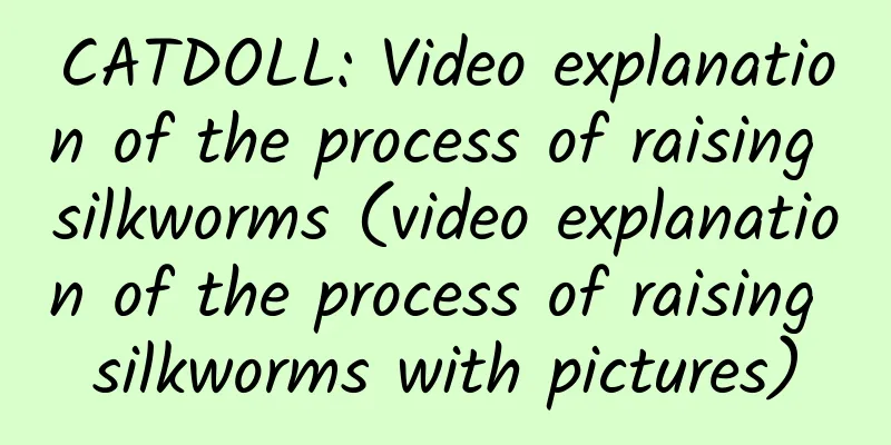 CATDOLL: Video explanation of the process of raising silkworms (video explanation of the process of raising silkworms with pictures)