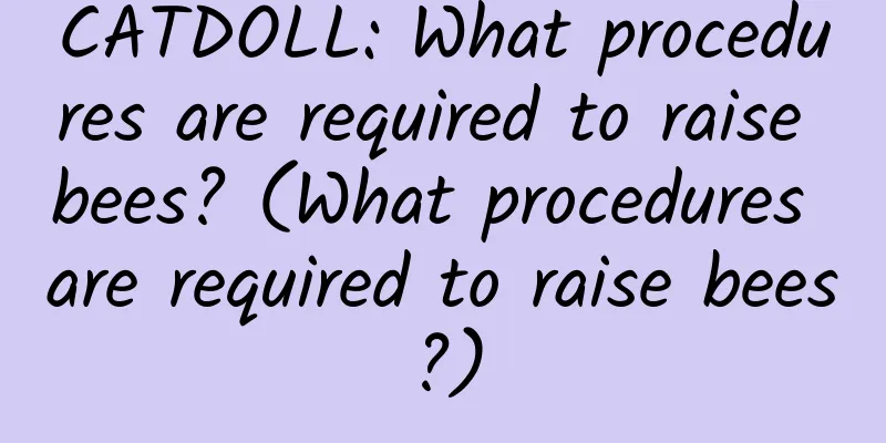 CATDOLL: What procedures are required to raise bees? (What procedures are required to raise bees?)