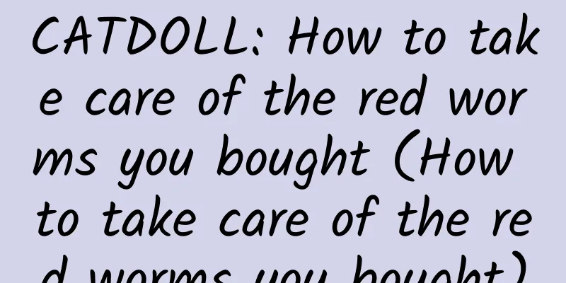 CATDOLL: How to take care of the red worms you bought (How to take care of the red worms you bought)