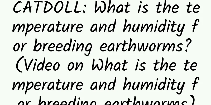 CATDOLL: What is the temperature and humidity for breeding earthworms? (Video on What is the temperature and humidity for breeding earthworms)