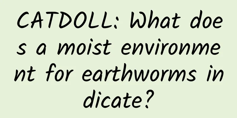 CATDOLL: What does a moist environment for earthworms indicate?