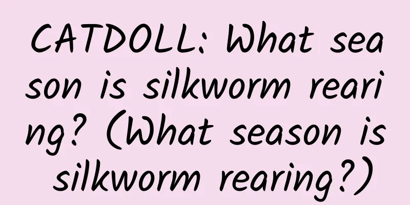 CATDOLL: What season is silkworm rearing? (What season is silkworm rearing?)