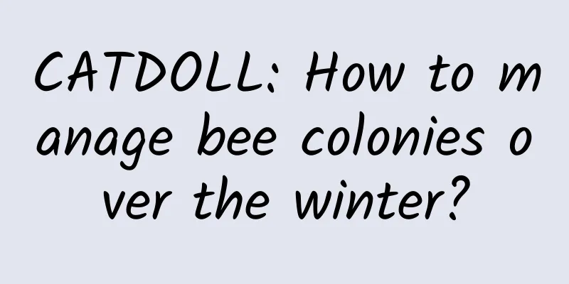 CATDOLL: How to manage bee colonies over the winter?