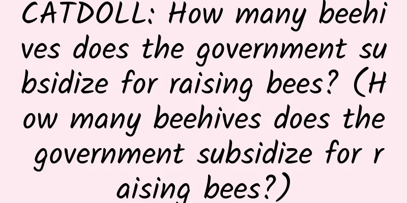 CATDOLL: How many beehives does the government subsidize for raising bees? (How many beehives does the government subsidize for raising bees?)