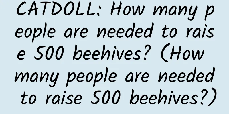 CATDOLL: How many people are needed to raise 500 beehives? (How many people are needed to raise 500 beehives?)
