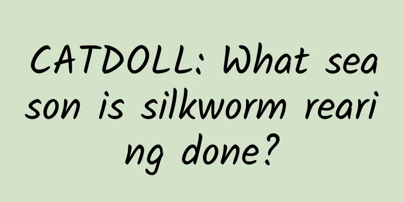 CATDOLL: What season is silkworm rearing done?