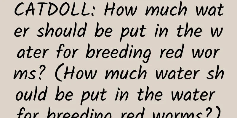 CATDOLL: How much water should be put in the water for breeding red worms? (How much water should be put in the water for breeding red worms?)