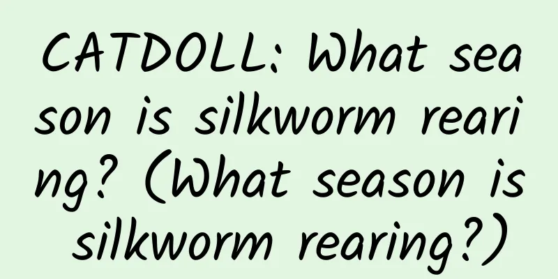 CATDOLL: What season is silkworm rearing? (What season is silkworm rearing?)