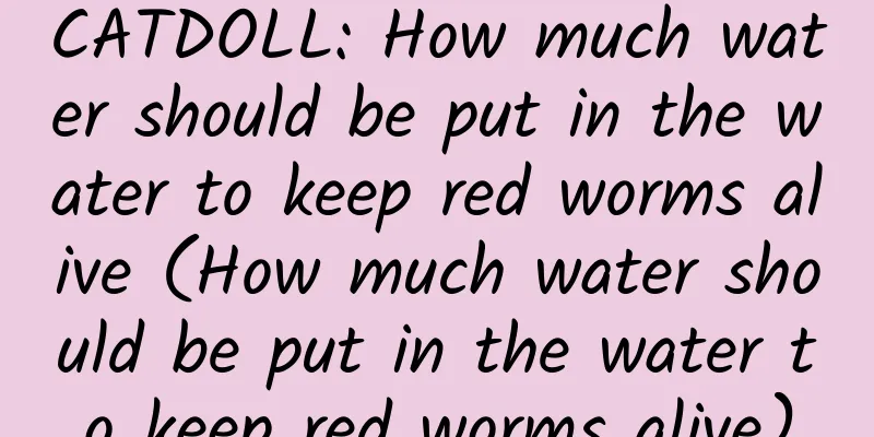 CATDOLL: How much water should be put in the water to keep red worms alive (How much water should be put in the water to keep red worms alive)