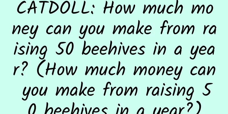 CATDOLL: How much money can you make from raising 50 beehives in a year? (How much money can you make from raising 50 beehives in a year?)